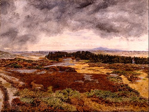View from Bidston Hill, 1860, William Davis