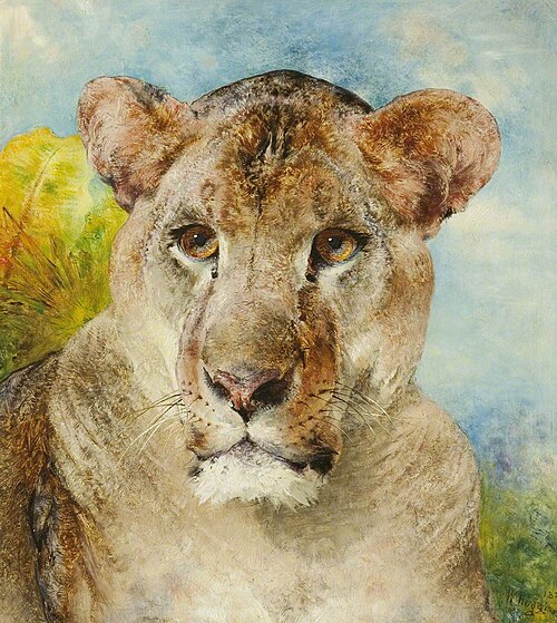 Head of a Lioness, 1878, William Huggins