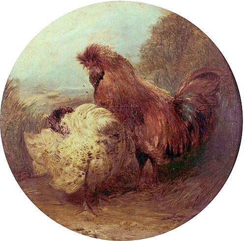 Cock and Hen, , William Huggins