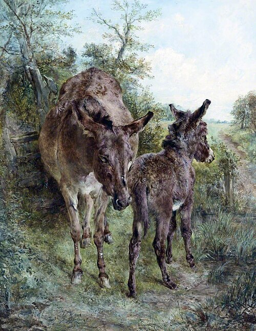 Donkey and Foal, 1875, William Huggins