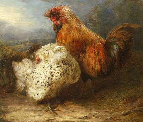 Cock and Hen, , William Huggins