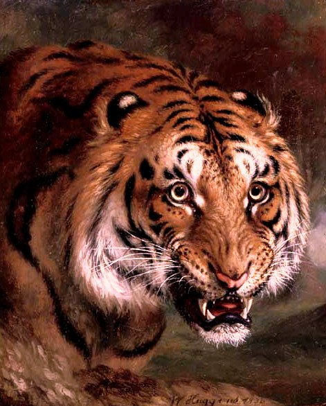 A Bengal tiger, 1838, William Huggins