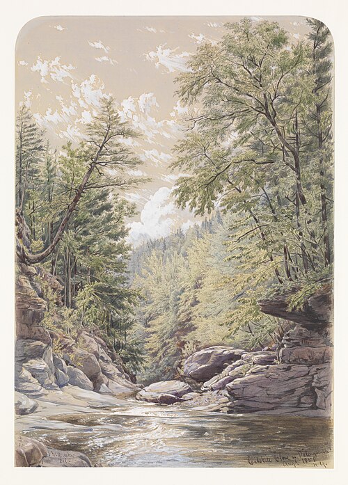 Catskill Clove in Palingsville, 1856, William Rickarby Miller