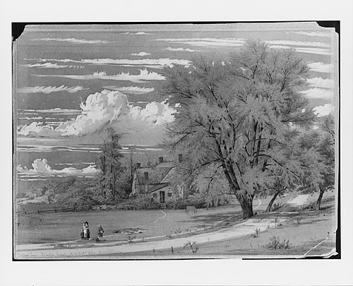 Willow Tree, Harlem Creek, New York, 1853, William Rickarby Miller