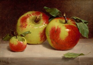 Study of Apples from Nature, 1863, William Rickarby Miller