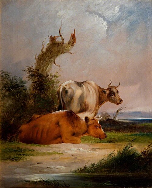 Cows, White Cow Standing, , William Shayer