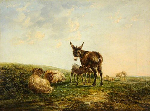 Donkey and Sheep, , William Shayer