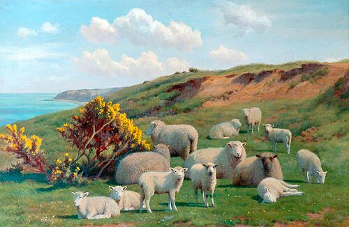 Sheep, 1904, William Sidney Cooper