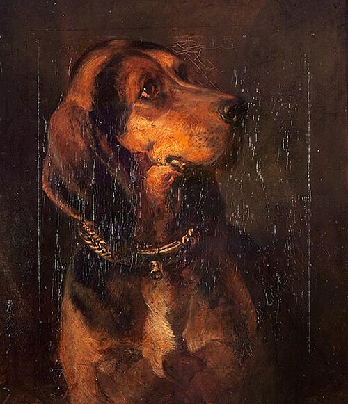A Dog's Head, , William Simson