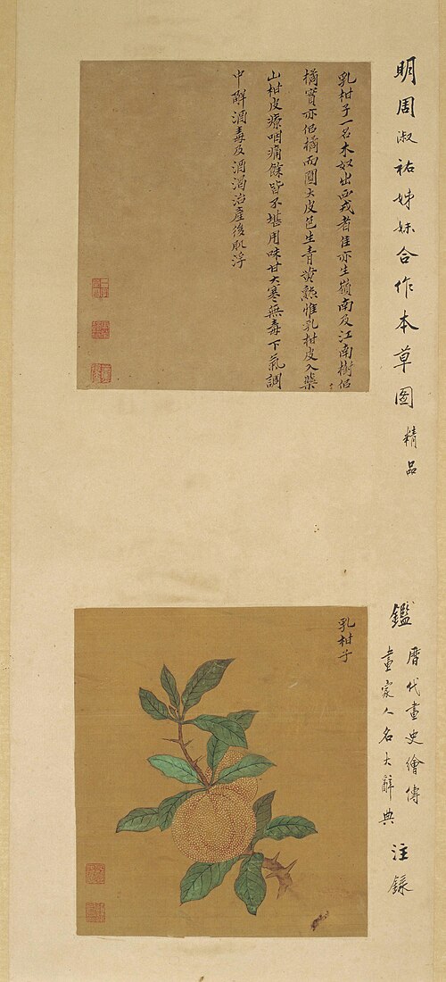 周淑禧周淑祜花果图屏, , Zhou Shuxi