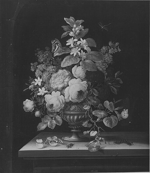Blumenstück, 1744, Barbara Regina Dietzsch