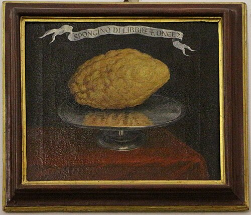 limone spongino di libbre 4 once 7, , Bartolomeo Bimbi