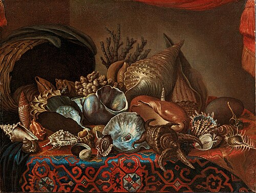 Muscheln und Korallen in einem Korb auf einem Teppich, 1725, Bartolomeo Bimbi