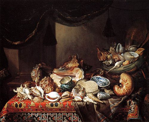 Shells, 1650, Bartolomeo Bimbi