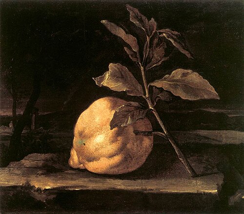 Large Citron in a Landscape, 1690, Bartolomeo Bimbi