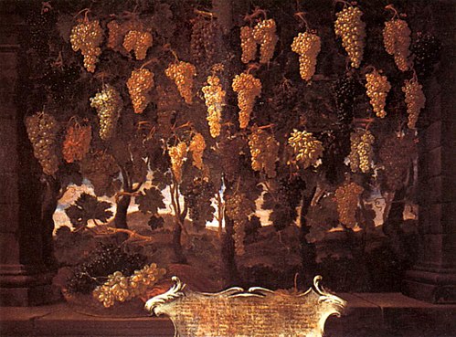 Grapes, 1650, Bartolomeo Bimbi