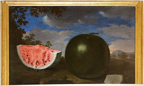 cocomero prodigioso, , Bartolomeo Bimbi