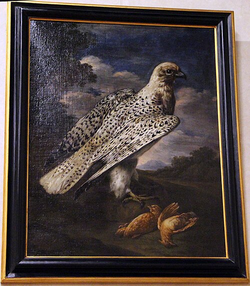 Falcone di norvegia e due allodole, , Bartolomeo Bimbi