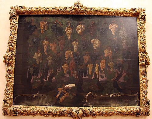 Grapes, 1700, Bartolomeo Bimbi