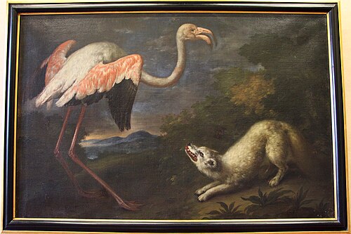fenicottero e volpe, 1717, Bartolomeo Bimbi