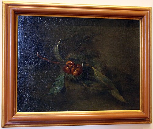 ramo di castagne con marroni, 1717, Bartolomeo Bimbi