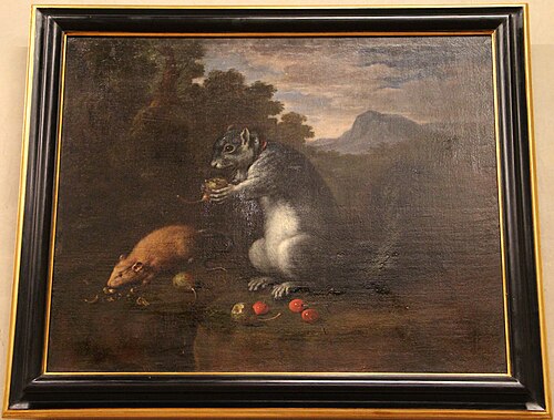 écureuil et souris, , Bartolomeo Bimbi