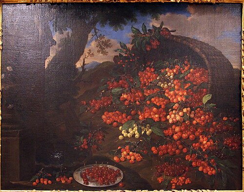 ciliege, 1699, Bartolomeo Bimbi