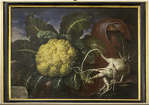 cavolfiore e rapa prodigiosi, 1706, Bartolomeo Bimbi