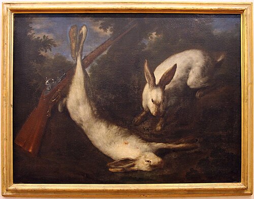 due lepri bianche con archibugio, , Bartolomeo Bimbi