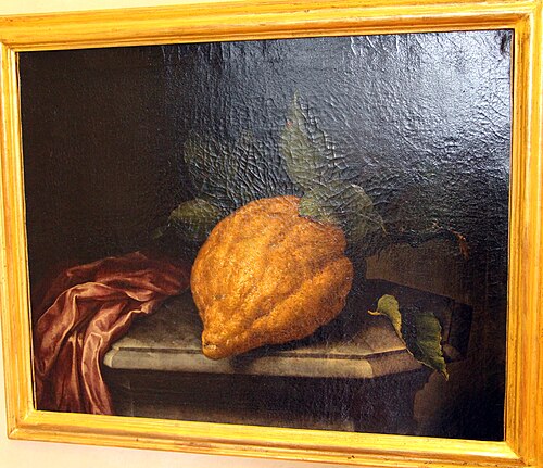 Citron, 1717, Bartolomeo Bimbi