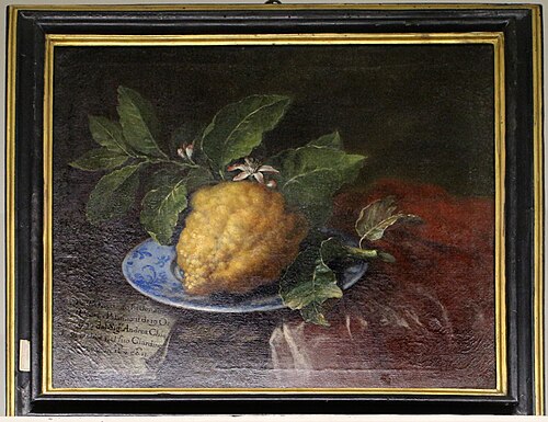 Citron on a Plate, , Bartolomeo Bimbi