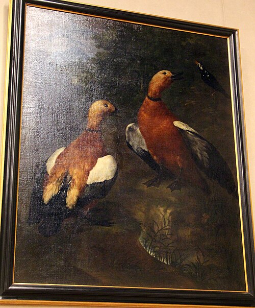 due germani e una beccaccia, , Bartolomeo Bimbi
