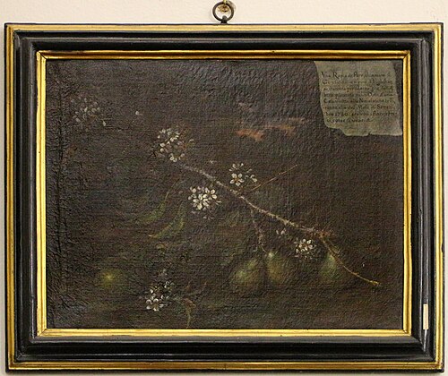 ramo di però che fiorì a frutti già comparsi, , Bartolomeo Bimbi