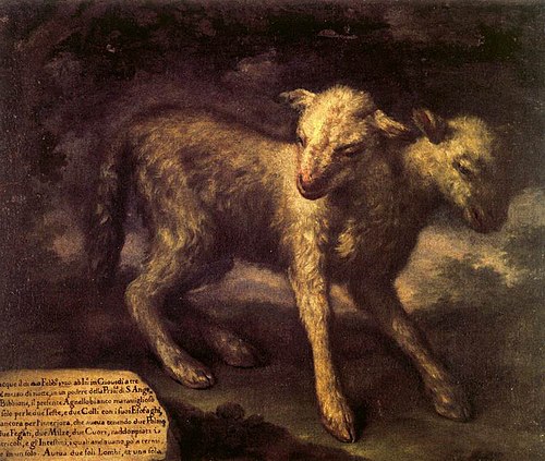 Two-headed Lamb, 1721, Bartolomeo Bimbi