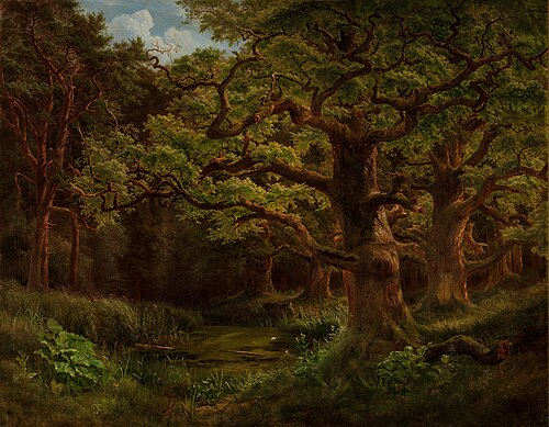 Forest in Choltice near Pardubice, 1853, Bedřich Havránek