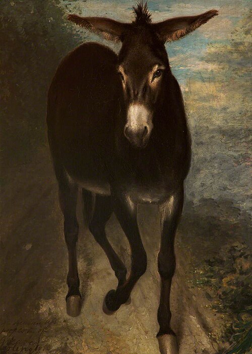 A Sicilian Ass, , Benjamin Haydon