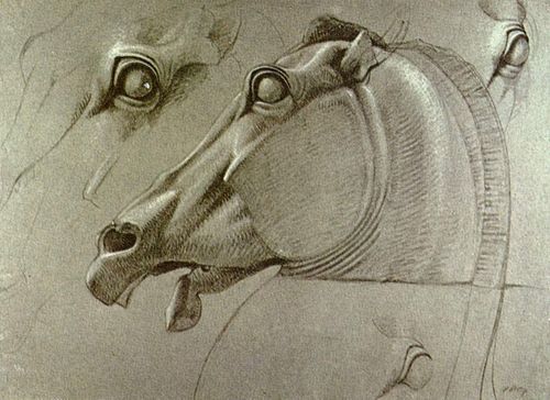 Kopf des Pferdes der Selene, 1809, Benjamin Haydon