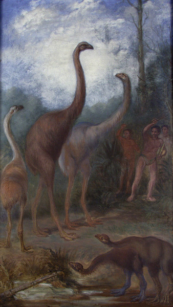 Moas of Prehistoric New Zealand, 1894, Benjamin Waterhouse Hawkins