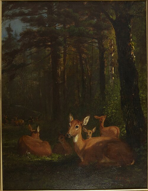 Deer in Forest, 1857, Arthur Fitzwilliam Tait