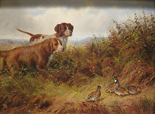 On Point, 1874, Arthur Fitzwilliam Tait