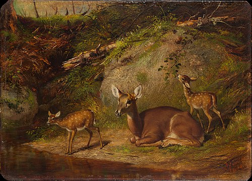 Doe and Two Fawns, 1882, Arthur Fitzwilliam Tait