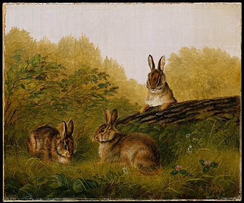 Rabbits on a Log, 1897, Arthur Fitzwilliam Tait
