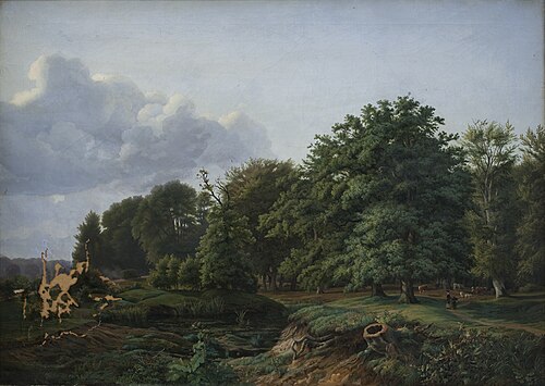 A Forrest near Hellebæk in the North of Zealand. Afternoon., 1835, Johann Hermann Carmiencke
