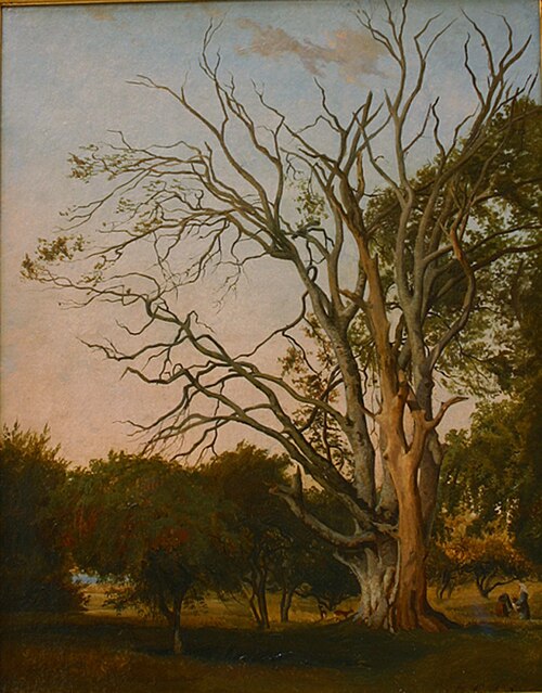 Woodland Scene with a Dead Tree, 1835, Johann Hermann Carmiencke