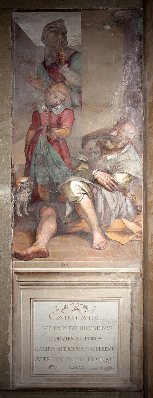 tobi cieco, , Bernardino Poccetti