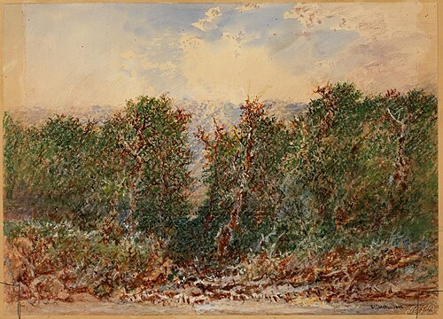 The path through the Cedars, 1892, Otto Reinhold Jacobi