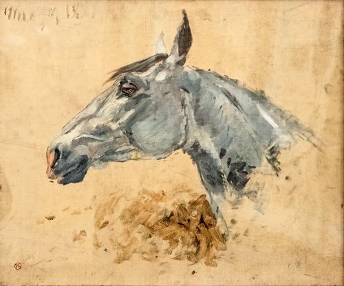 Cheval blanc Gazelle, 1881, Henri de Toulouse-Lautrec