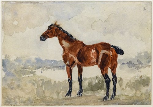 Cheval roux, 1873, Henri de Toulouse-Lautrec