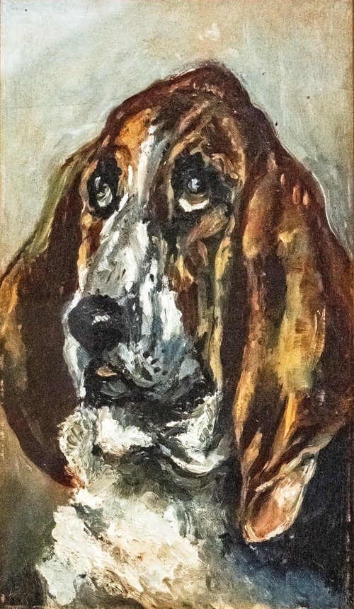 Tête de chien courant, 1880, Henri de Toulouse-Lautrec