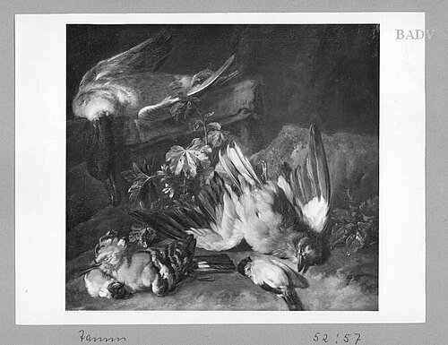 Still - Life with dead birds, 1683, Frans Werner Tamm